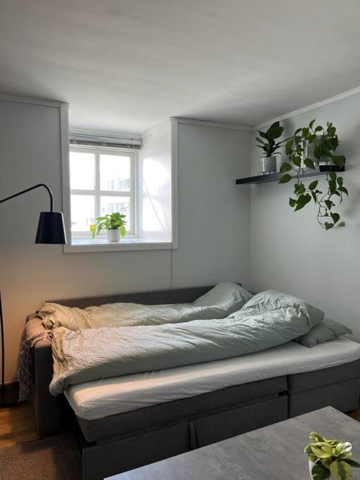 Cozy Ground Floor Apartment Tromso Exterior photo