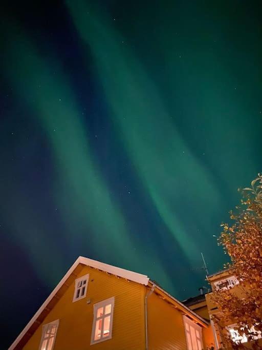 Cozy Ground Floor Apartment Tromso Exterior photo